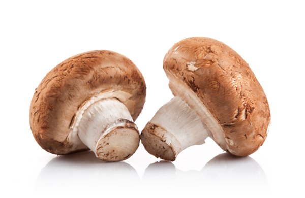 Champignons