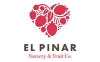 El Pinar